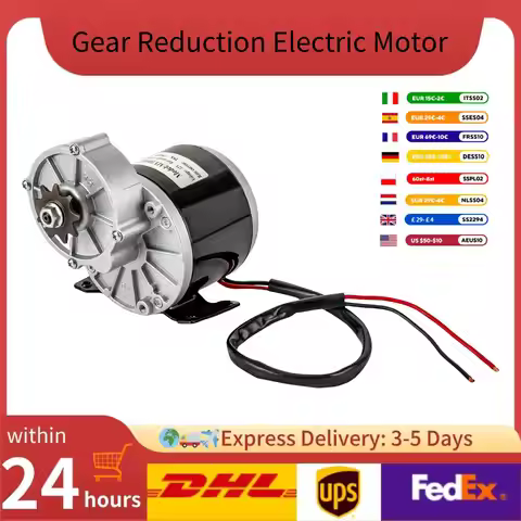250W 12V Gear Reduction Electric Motor Brushed DC Motor Electric Bicycle Brushed Motor Reductor MY10