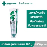 [ใหม่!] Dentiste’ Pro Max Fluoride 1500 ppm Toothpaste 100g. ยาสีฟันสูตรแปรงแห้ง เสริมผิวฟันแข็งแรง 