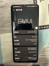 Huawei P30 Pro 智慧型手機