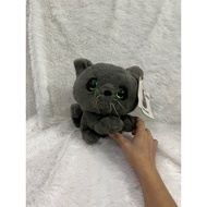 Cat dolls, cat/s, plush dolls, cat plush/s, cat toys,/ animal dolls,/ animal dolls, educational doll