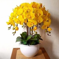 BARANG TERLARIS !!! Rangkaian bunga anggrek super premium latex 12