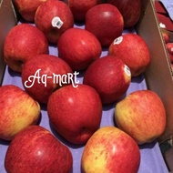 buah apel envy premium apple 1dus 18kg