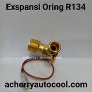 Expansion Oring R 134