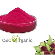 Prickly Pear Fruit Powder 100g 仙人掌果粉 Pinky Cactus Fruit Serbuk Cactus Berry Powder