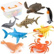 Hộp 8 đồ chơi mô hình Cá biển & động vật Biển (14-18 cm) Animal Ocean World cho bé 3 tuổi - New4all