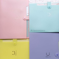 5 Slot Pastel File Organizer Folder