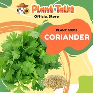 Plant Talks Coriander Seed Chinese Parsley Seeds Organic Edible
