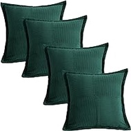 HITO 20x20 Pillow Inserts w/Pillow Covers (Set of 4)- Down Alternative Throw Pillows for Couch Bed Sofa