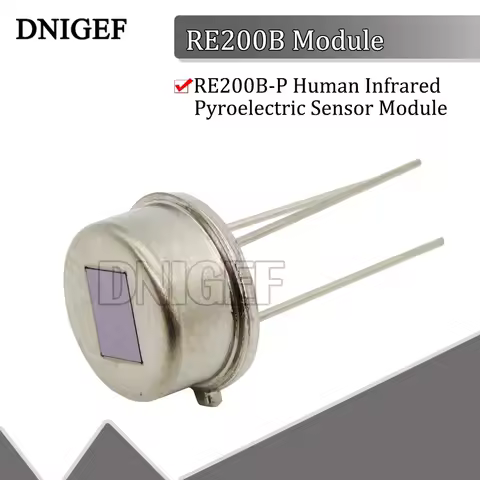10PCS D203S RE200B-P Human Infrared Pyroelectric Sensor Module PIR D203S LHI874 LHI878 RE200B P228 F