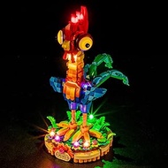 GEAMENT LED Light Kit Compatible with Lego Disney Heihei Building Blocks Model - Lighting Set for 43