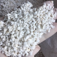 Đá perlite trộn đất trồng cây gois 1Kg (giữ ẩm xốp đất tăng cường sự phat triển bộ rễ