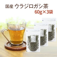 ウラジロガシ茶 純国産 60g×3袋 徳島県産100％で安心・安全☆【国産 健康茶】【ウラジロガシ茶 うらじろがし茶】【無添加・無着色】ウラジロガシ茶