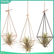 livecity|  Geometric Plant Stand Breathable Plant Stand Modern Geometric Glass Terrarium Plant Holder with Iron Stand for Home and Office Decor Southeast Asian Buyers' Favorite