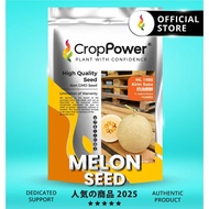 (500 SEEDS) Biji Benih Melon Kirin Susu 奶油麒麟 ML1988 CROP POWER F1 Hybrid Melon seeds 蜜瓜种子 ML 1988