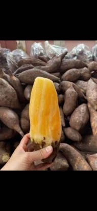 1kg Organik Ubi Yacon Cameron Highlands / 1kg Organik Ubi Yakon Cameron Highlands