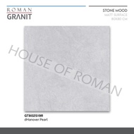 Roman Granit 80x80 dHanover Pearl/Granit 80x80 Abu doff Industrial