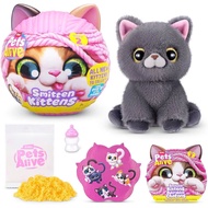 PETS ALIVE SMITTEN KITTENS SURPRISE EGGS – SUPER CUTE KITTENS