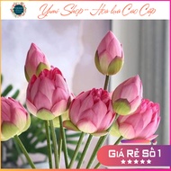 High quality fake lotus branch - Avalokiteśvara LOTUS (99% real variety) - durable and beautiful hom