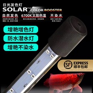 Three Generations Neo Fish Tank Light SOLAR Hair Color Light st Thunder Arowana Special Light Diving