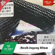 Benih Tanaman ( 100 Gram ) Benih Jagung Hitam | Jagung Ketan Hitam Terbaik