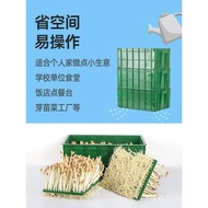 Plastic Pot Household Machine Mung Bean Sprout Box Hydroponic Raw Yellow Sprout Seedling Seedling Tr