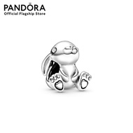 Rabbit sterling silver charm