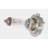 H7 Headlight Bulb (12V/24v)