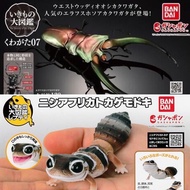 <Ohtoys> Bandai 生物大圖鑑 Repti 甲蟲 第七彈 肥尾守宮 共2套 昆蟲 扭蛋 蜥蜴 爬蟲類 模型 動物周邊 可動 獨角仙 豹紋守宮 Friends 食玩 盲盒 蜥蜴 守宮 生物 