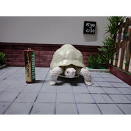 Jointed Albino Turtle model