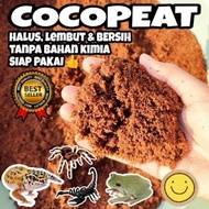 Cocopeat 500 - Gecko Torto Tarantula Gecko Dart Frog Cocopeat Coco Peat Kokopit Antemeat Reptile Cag
