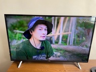 TCL 43”電視機 L43P21US