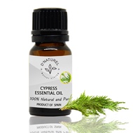 D’NATUREL – CYPRESS ESSENTIAL OIL