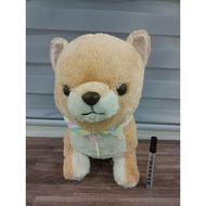 Amuse large Shiba dog B26