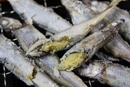 【家常菜系列】柳葉魚(喜相逢)/約300g/盒~每隻都滿滿ㄟ魚卵又稱蛋蛋魚~裹粉油炸或碳烤新鮮便宜又好吃