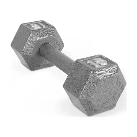 15 lb Cast Iron Hexagonal Dumbbell - Solid Hex Design Prevents Rolling, Ideal for Home Gym Strength 