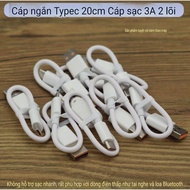 Short Type-C to USB-A Charging Cable 20CM