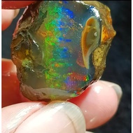 [Opal Rough Stone] Fire Color Opal Australian Colorful Treasure Mineral Crystal Ore Teaching Specime