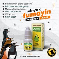 MINYAK FUMAYIN minyak Fumayin penggacor burung dan ternak burung untuk semua jenis burung