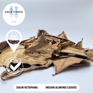 DAUN KETAPANG / INDIAN ALMOND LEAVES CATAPPA - @betta @guppy @shrimp @blackwater @aquascape  AQUAFORCE