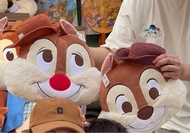 chip and dale奇奇蒂蒂 咕𠱸【迪士尼】Disney灰熊山淘金抱枕