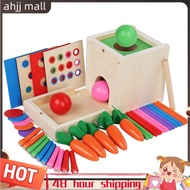 6-In-1 Wooden Toy Kit Object Permanence Box Play Set with Coin Box Carrot Harvest Shape Sorter Ball 