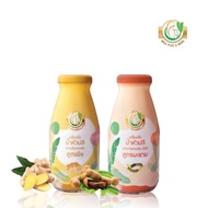 Milk Plus & More น้ำหัวปลี คละ2รส 24 ขวด (ขิง+มะขาม)