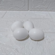Fake Eggs Art 11 Bird Eggs Large Dummy Eggs 2GR Import Italy