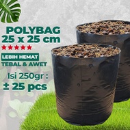 Polybag Size 25x25 Polybag Packaging Weight 250 Grams PG SBY Poly Bag Tanaman