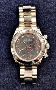 Rolex Daytona 116509 灰面 白金 勞力士