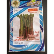 Benih asparagus purple ​besar (5seed)