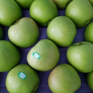 Apel Hijau Granny Smith Fresh Import Harga Grosir