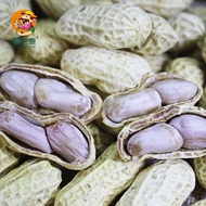 [🥜花生🥜1000g] boiled peanuts / multiple flavors / peanut 1500g