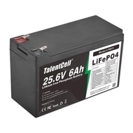 Talentcell 24V 6Ah LiFePO4 Battery Pack LF8011, 25.6V 153.6Wh Deep Cycle Rechargeable Lithium Iron P