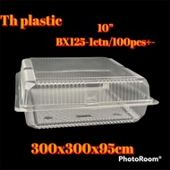 TH-BX125-10”-1ctn/100pcs+-